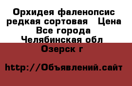Орхидея фаленопсис редкая сортовая › Цена ­ 800 - Все города  »    . Челябинская обл.,Озерск г.